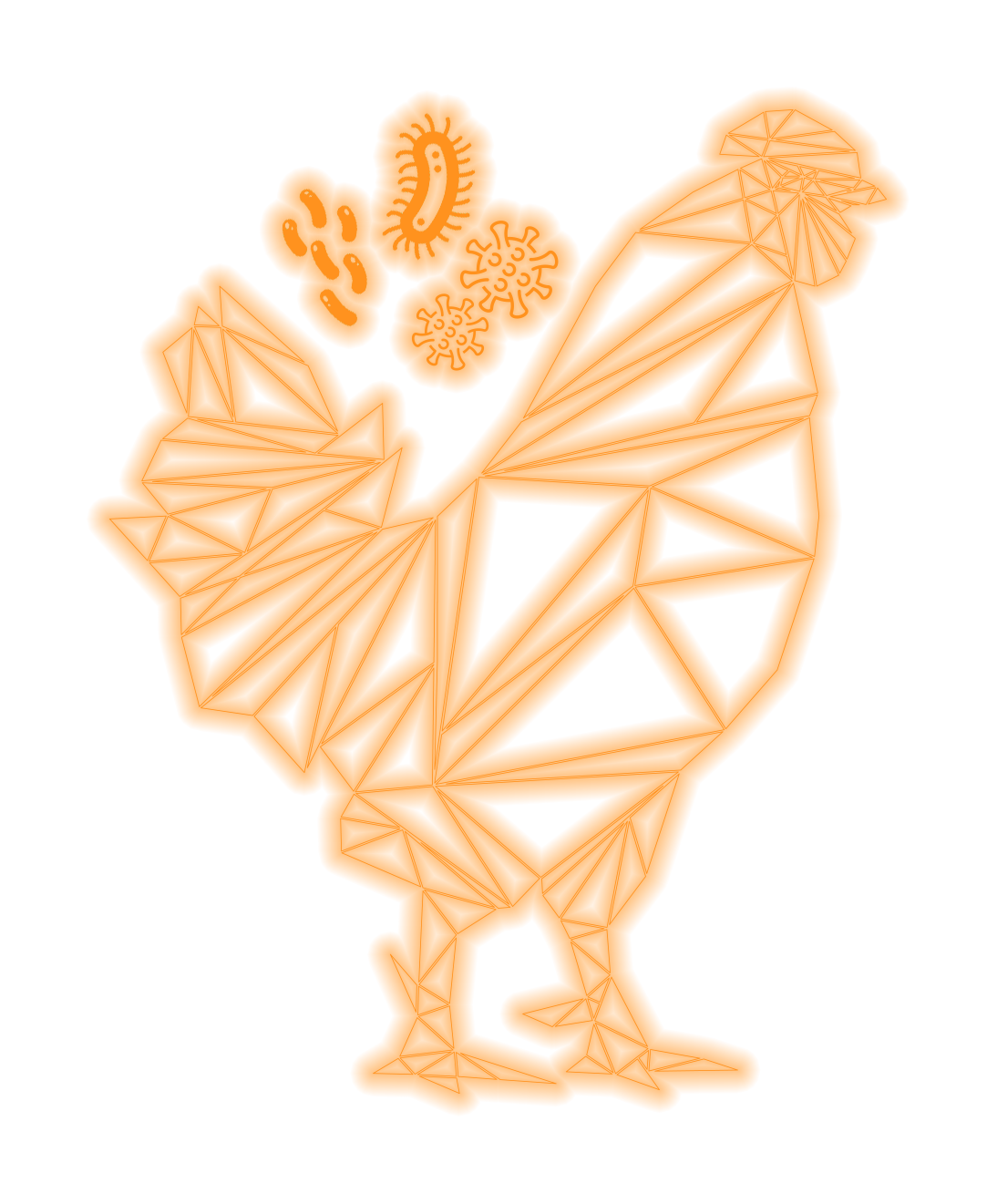 Enfermidades Bacterianas & Virais