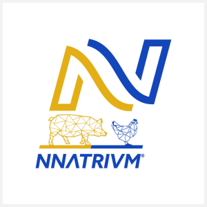 NNATRIVM (1)