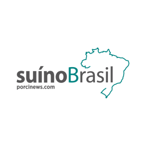 Suino Brasil